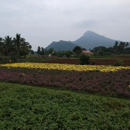 Rpm Home Stay Tiruvannamalai Exterior photo